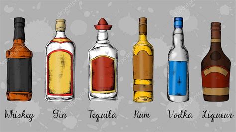 Alcohol Set Whiskey Gin Tequila Rum Vodka Liqueur Sketch Style