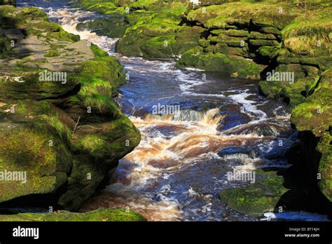 River Wharfe At The Strid Near Bolton Abbey Yorkshire Dales National