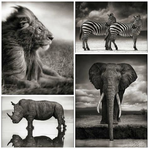 Podcast Inspirational Photographers Nick Brandt