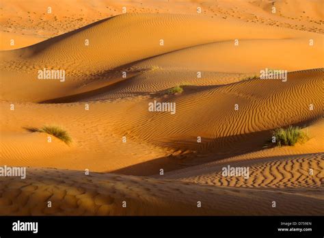 Wahiba Sands Sharqiya Sands Oman Stock Photo Alamy