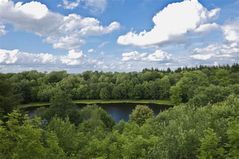 Aufgrund seiner nähe zu belgien, luxemburg und frankreich ist diese region auch bei unseren westlichen nachbarn ein viel besuchtes urlaubsziel. Urlaub in der Eifel mit Hund