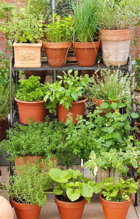 64 Container Gardening Patio Small Spaces Savvy Ways About Things Can