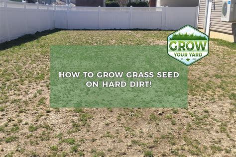 How To Plant Grass Seed On Hard Dirt 8 Steps Grow Your Yard