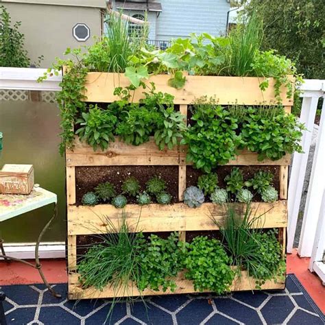How To Make A Vertical Garden Out Of Pallets