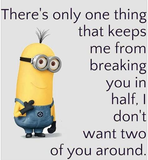 Best Funny Quotes Top 40 Minion Jokes Quotes Daily