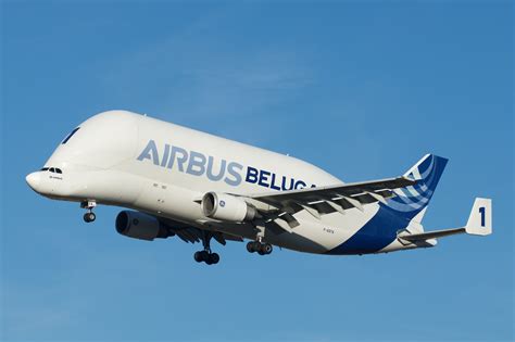 The airbus beluga xl has officially been certified to fly by the easa! Airbus A300-600ST Beluga - Wikiwand