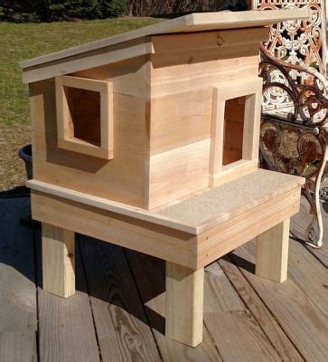 If you are handy at diy, you can build a shelter from scratch, but for those less adept, here are some simple ideas for providing inexpensive shelters. Outdoor Cat House on Platform | Cat house diy, Outdoor cat ...