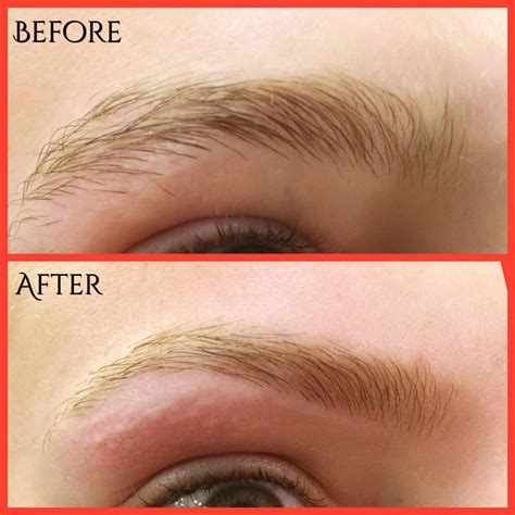 Precious Eyebrow Designers — Trolley Square