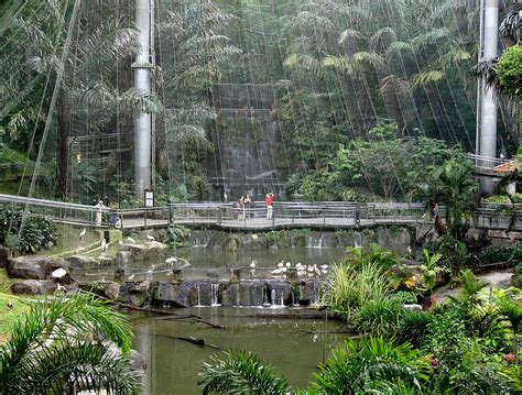 Kl bird park, kuala lumpur, malaysia. Kuala Lumpur Bird Park kuala lumpur entry fee, Kuala ...