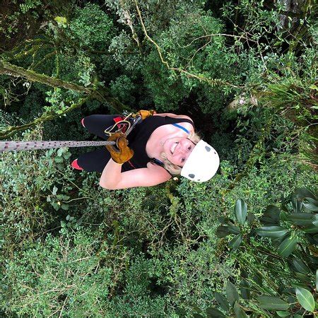 Santa elena, monteverde,puntarenas, monteverde, costa rica. The Original Canopy Tour (Monteverde) 2019 | mayo | Qué ...