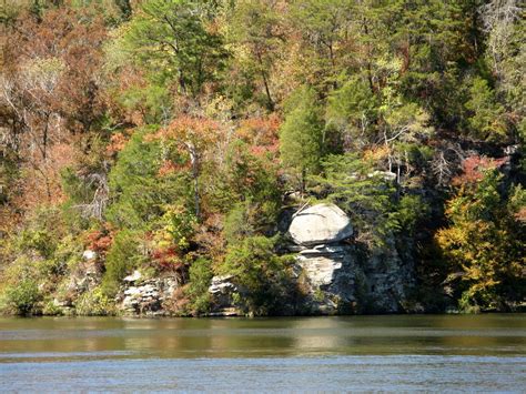 Valentines Travels Upper Black Warrior River