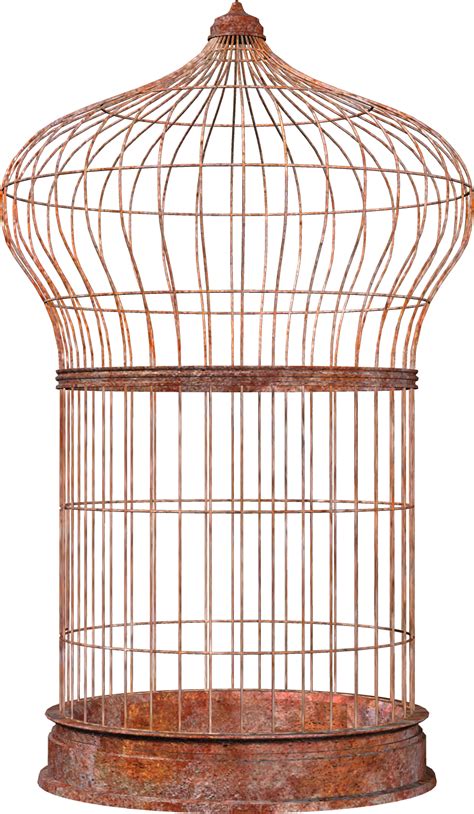 Cage Bird Png Transparent Image Download Size 914x1571px