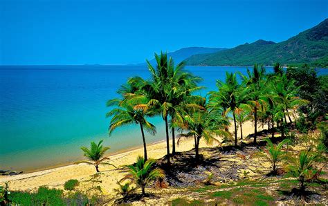 Cairns Australia Travel Guide Tourist Destinations