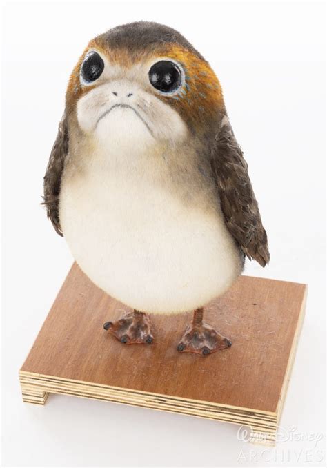 From Puffins To Porgs D23