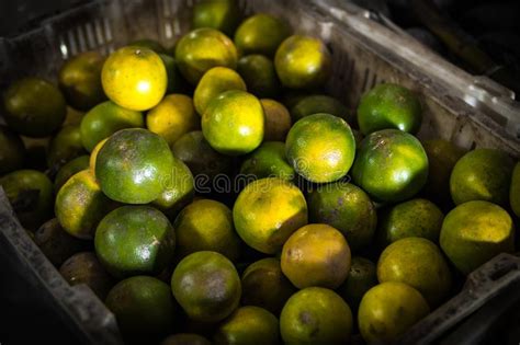 Fresh Organic Mandarins On The Asian Local Market Bali Island Stock