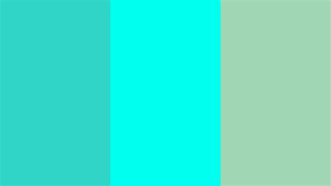 Turquoise Color Coloring