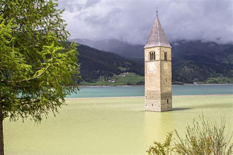 Tower Of Sunken Church In Resia Lake Italy Stock Photo Download Image