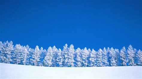 46 1080p Winter Wallpaper Wallpapersafari