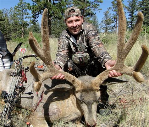 Archery Mule Deer Hunt On Private Ranch In Southern Colorado