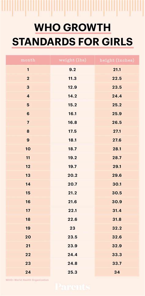 Baby Growth Chart By Week During Pregnancy Pregnancywalls