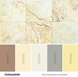 10 Marble Color Palette Ideas In 2023 Icolorpalette