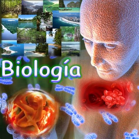 Mundo Biologico