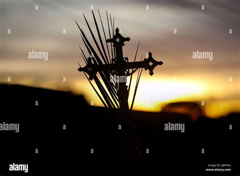 Holy Week Processional Cross And Branches In Beautiful Sunset Scenery