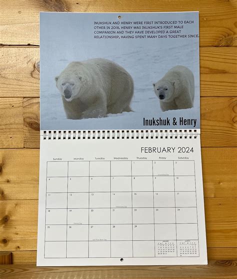 Calendars Polar Bear Habitat