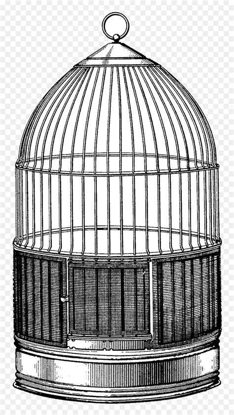 Vintage Bird Cage Drawing At Explore Collection Of