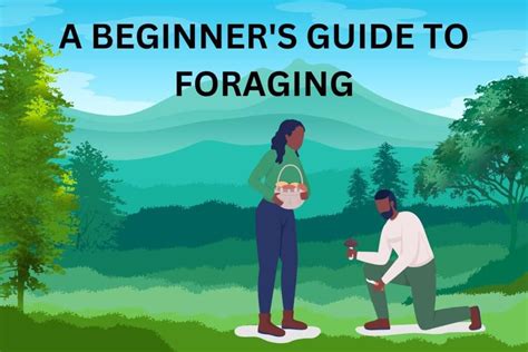 Our Essential Guide To Foraging Tips Books Guidelines