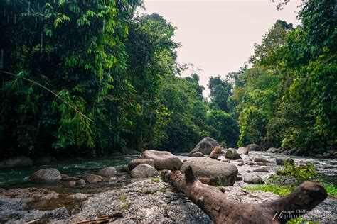 Sungai Chillingkuala Kubu Bharu Malaysia More Pictures At