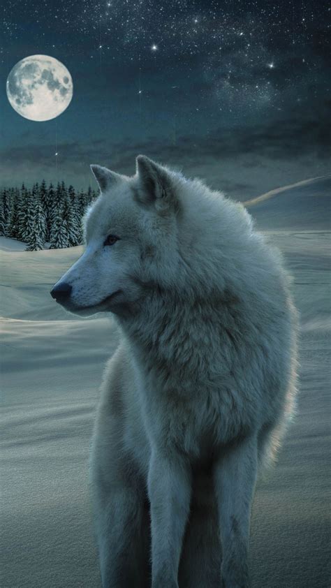 Hd wallpapers and background images HD Wolf Phone Wallpapers - Wallpaper Cave