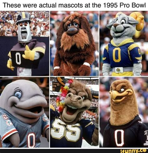 These Were Actual Mascots At The 1995 Pro Bowl Ifunny