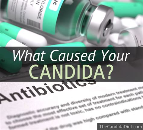 The 7 Most Common Causes Of Candida The Candida Diet