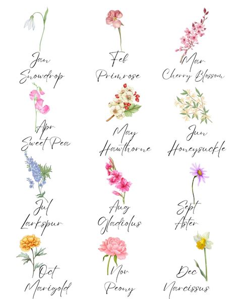 July Birth Flower Bouquet Digital Print Wall Decor Art Printable