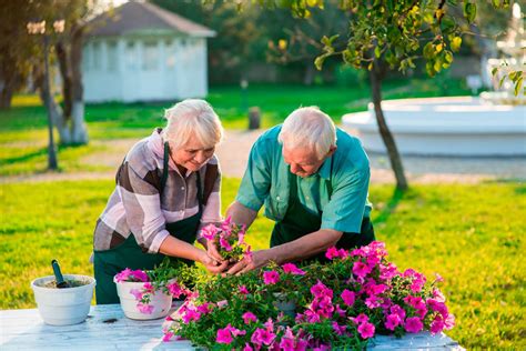 Gardening Tips For Seniors Protect Yourself And Enjoy The Outdoors