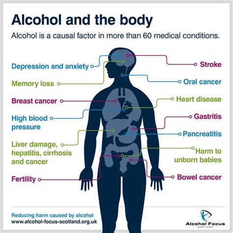 Alcohol And Physical Health