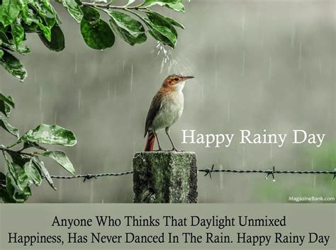 Rainy Day Wishes Images Wisdom Good Morning Quotes