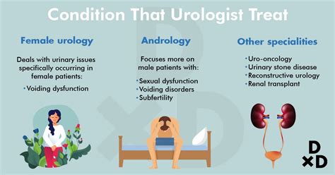The Ultimate Guide To Seeing A Urologist In Singapore 2020