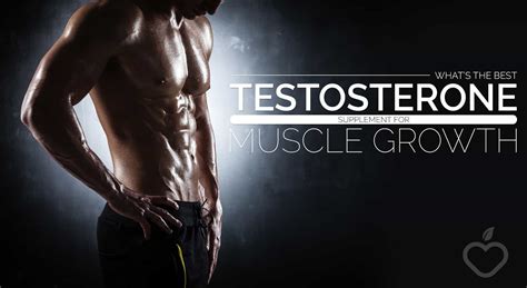 Whats The Best Testosterone Supplement For Muscle Growth Positive
