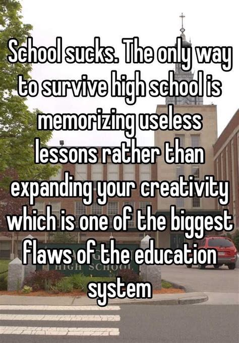School Sucks The Only Way To Survive High School Is Memorizing Useless