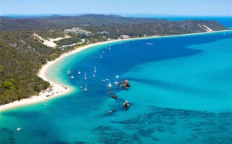 Brisbane Australia's ultimate things to do