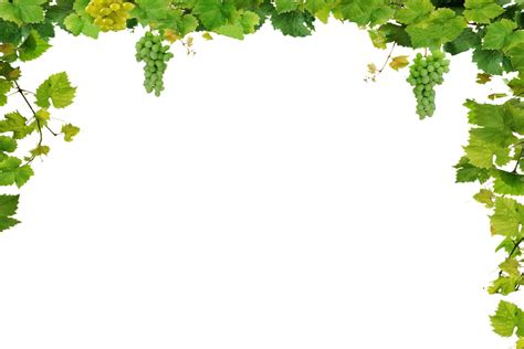 Free Download Wine Cork Art For Pinterest 1500x1000 For Your Desktop