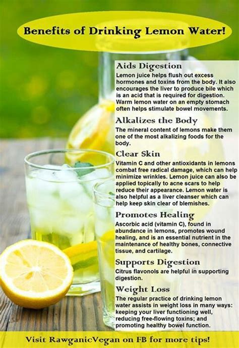 Minuman Lemon Water Resep Masakan Lezat
