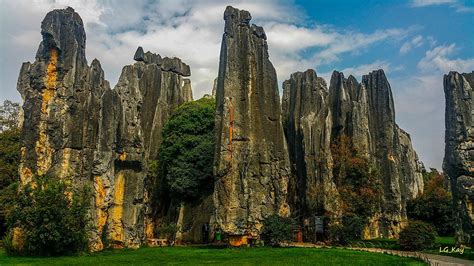 Yunnan Stone Forest Geological Park Shilin County All You Need To