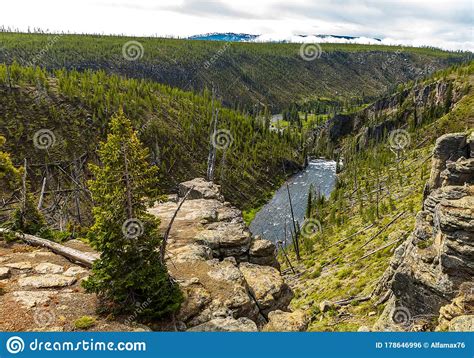 Yellowstone River Yellowstone Plateau Yellowstone Scenery Photo