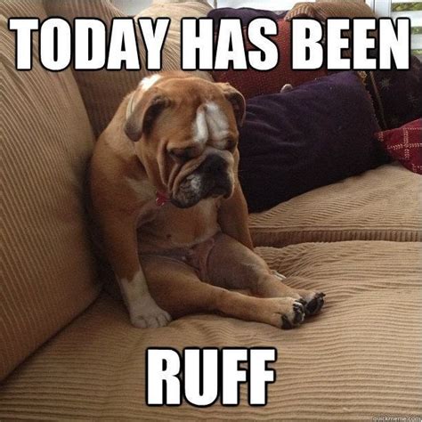 Today Has Been Ruff Sooo Cute Funny Dog Memes Depressed Dog Funny