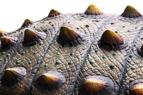 Artificial Dinosaur Texture Skin Stock Photo Colourbox