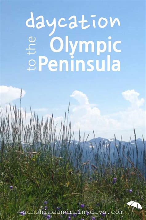 Daycation To The Olympic Peninsula
