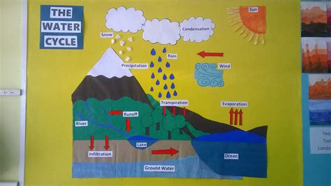 Water Cycle Display Ks2 Classroom Displays Science Fair Projects